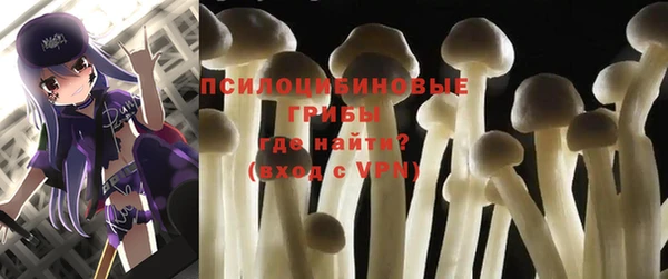 каннабис Новодвинск