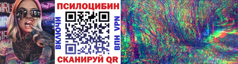 Галлюциногенные грибы Psilocybe  KRAKEN вход  Кохма 