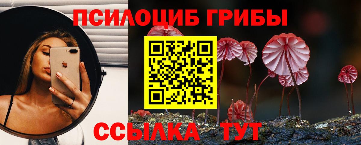 Кохма  Галлюциногенные грибы мухоморы  Вход с VPN  Галлюциногенные грибы Psilocybe 