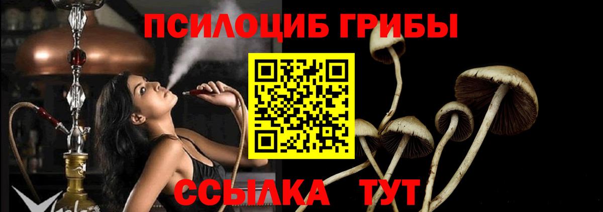 Псилоцибиновые грибы Magic Shrooms Кохма